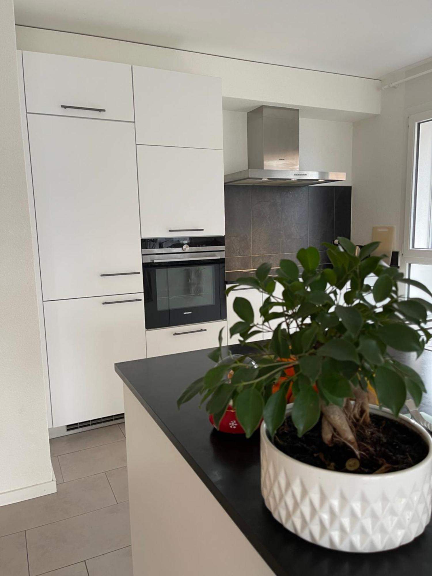 Appartement Geneva *