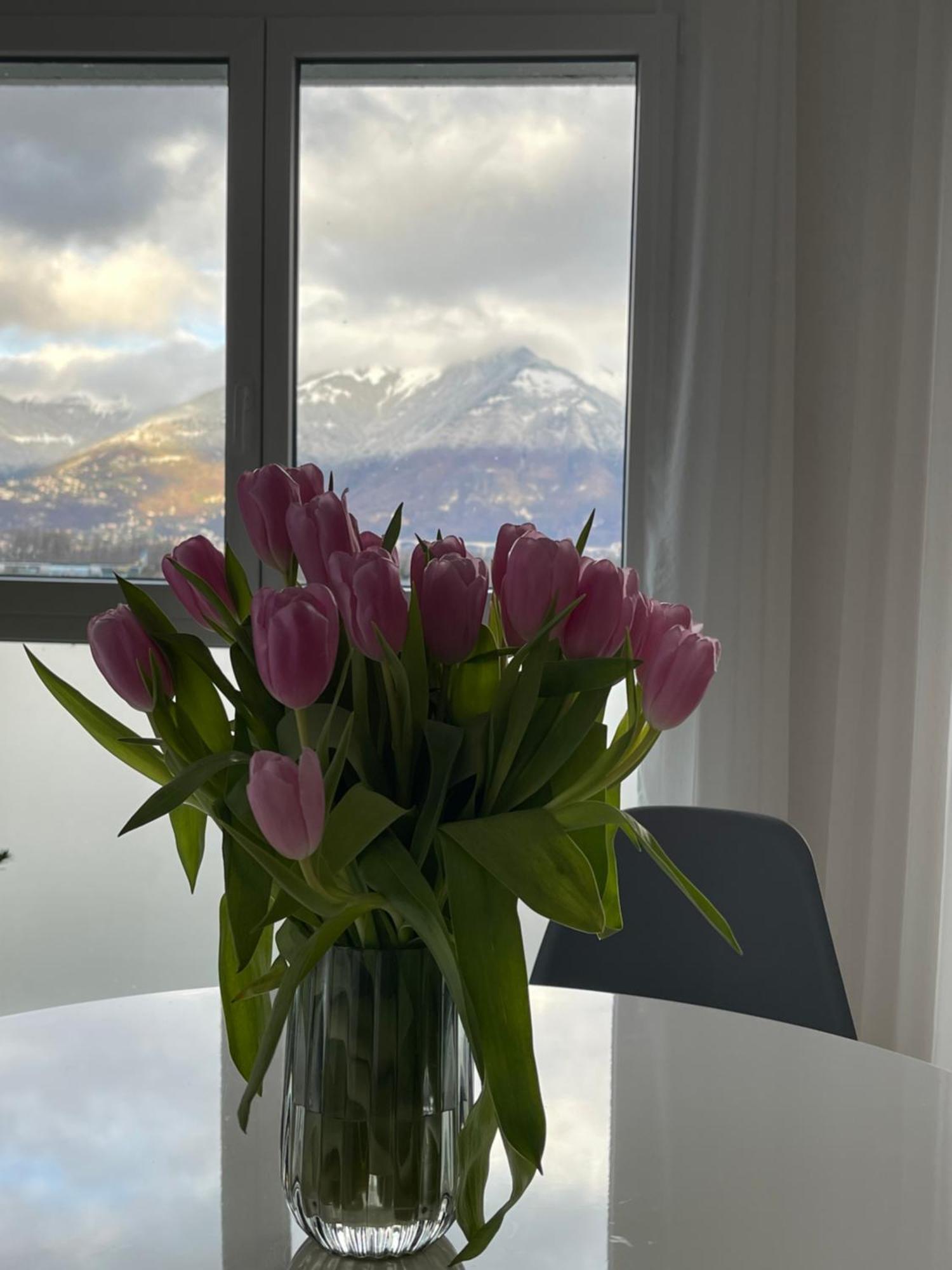 Apartmán Geneva Port-Valais